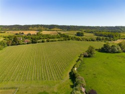 Images for Abbey Gate Cottages, Sandling