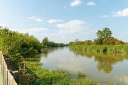 Images for The Retreat, Mill Hall, Aylesford