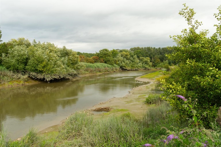 Images for Mill Hall, Aylesford EAID:BLUEBELL BID:1